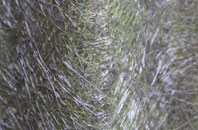 Crays Pond fibreglass roof work